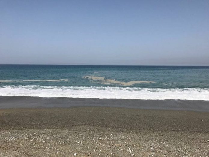 Calabria | Mare sporco, la denuncia e il rammarico di Pippo Callipo: 'Mi vergogno, sono mortificato'