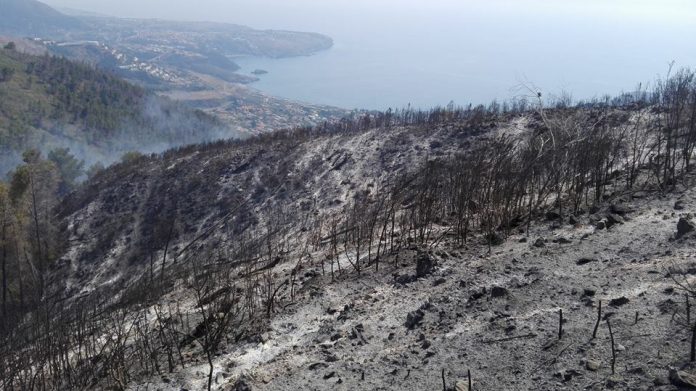 Incendi a Praia a Mare, le conseguenze della follia umana sul Monte Saracinello - LE IMMAGINI