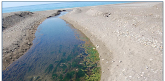 Inquinamento del canale Fiumarella di Praia a Mare, il dossier di Italia Nostra