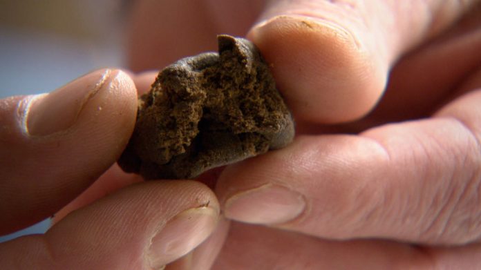 Cosenza, bimbo di 11 mesi ingerisce hashish e finisce in ospedale in gravi condizioni