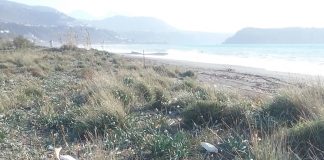 Italia Nostra: «Al Comune di Praia a Mare solo ambientalismo di facciata»