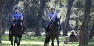 Contrasto alla droga e perlustrazione, a Serra San Bruno arrivano i carabinieri a cavallo